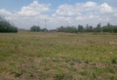 Plots