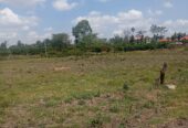 Plots